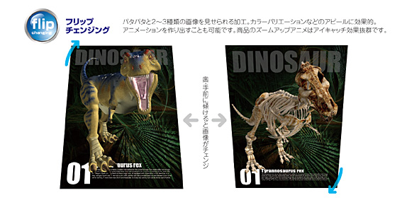 レンチキュラー、フリップ、チェンジング